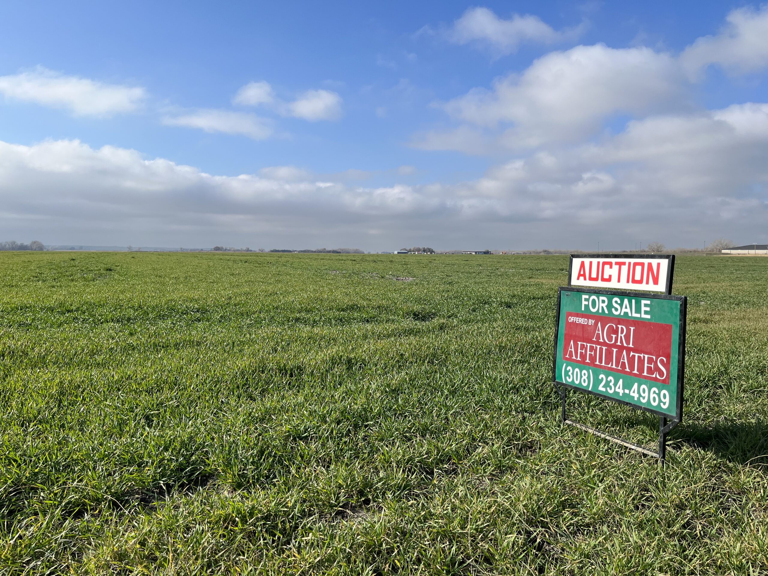 Grassland for sale at auction by Agri Affiliates. Real estate sign marks the property boundary.