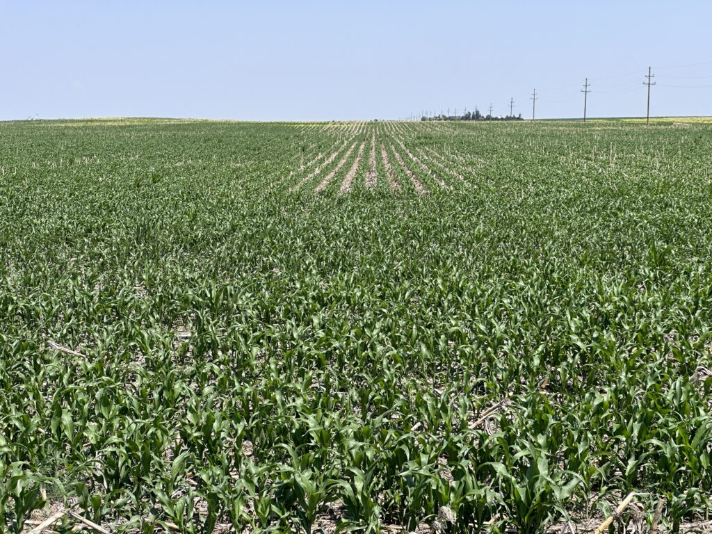 land for sale cheyenne county dry cropland in a good farming community between sidney and gurley nebraska