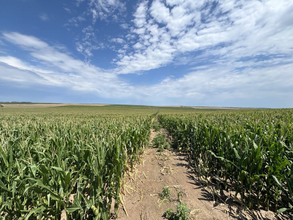 howard farm v heart ranch pivot irrigated quarter sections with home and building improvements in hayes county nebraska real estate listing by jerry weaver of agri affiliates north platte