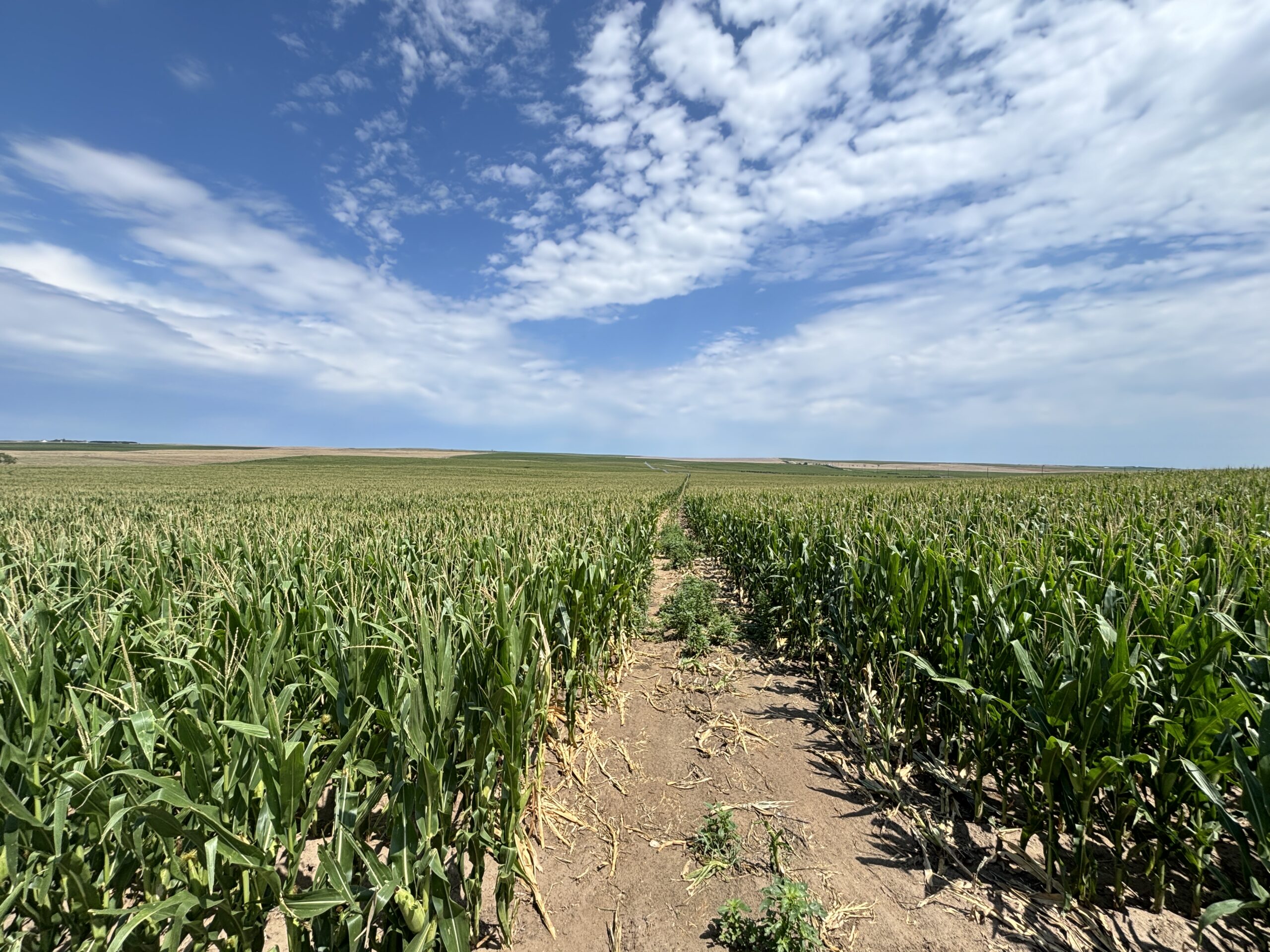 howard farm v heart ranch pivot irrigated quarter sections with home and building improvements in hayes county nebraska real estate listing by jerry weaver of agri affiliates north platte