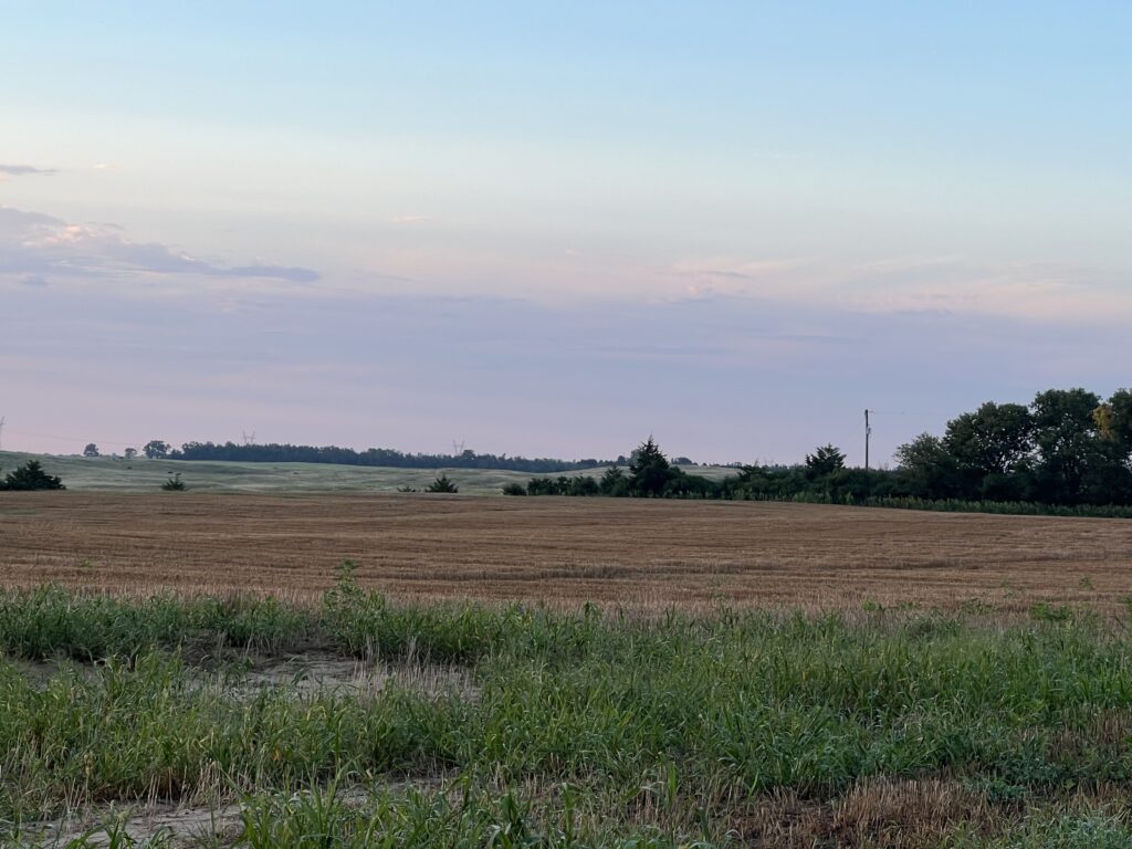 amick-younson farm located in kearney county nebraska near the city of minden features dry cropland and crp listed by bart woodward of agri affiliates kearney