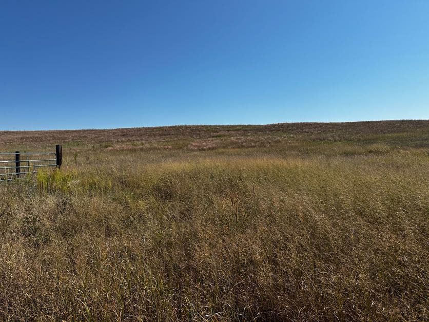sandhill road acreage in lincoln county nebraska features rural residential building site opportunity or pasture land listed by faith correll of agri affiliates north platte
