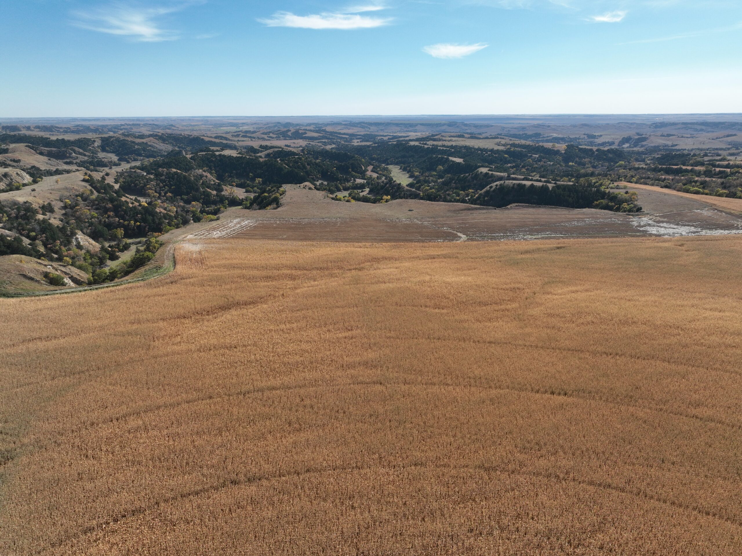 Ruth Chrisp Estate upcoming land absolute auction featuring pivot irrigated cropland dry cropland winter rangeland and improvement site located near arnold in custer county to be held at the arnold community center december 4th, 2024. listed by bonnie downing of agri affiliates north platte and broken bow