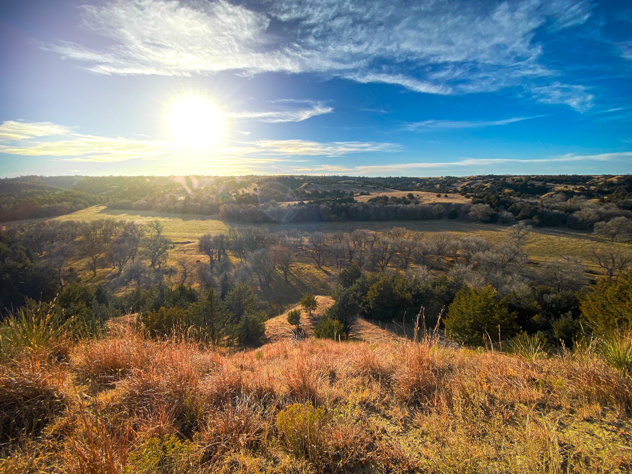 rolling nebraska rangeland pasture with trees perfect for wildlife