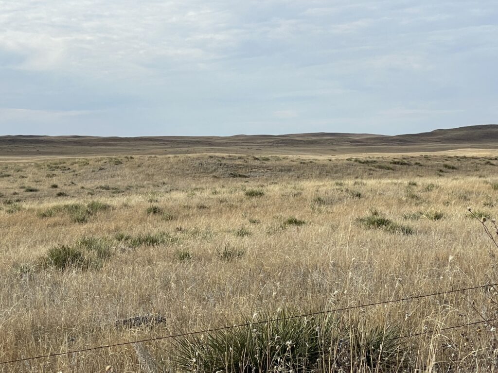 tophoj family land online only auction in garden county featuring crp range grass certified irrigated acres listed by agri affiliates real estate agents faith correll bonnie downing