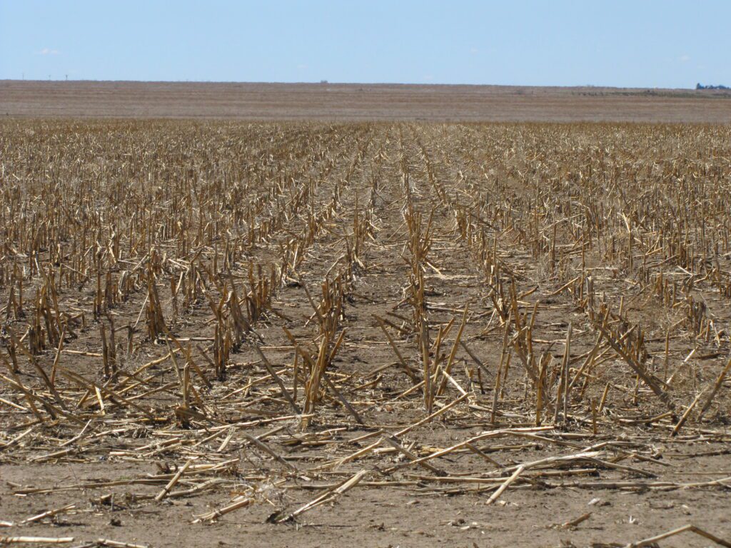 palisade dryland quarter in hitchcock county nebraska agri affiliates listing agent bruce dodson afm real estate land for sale dry cropland certified organic