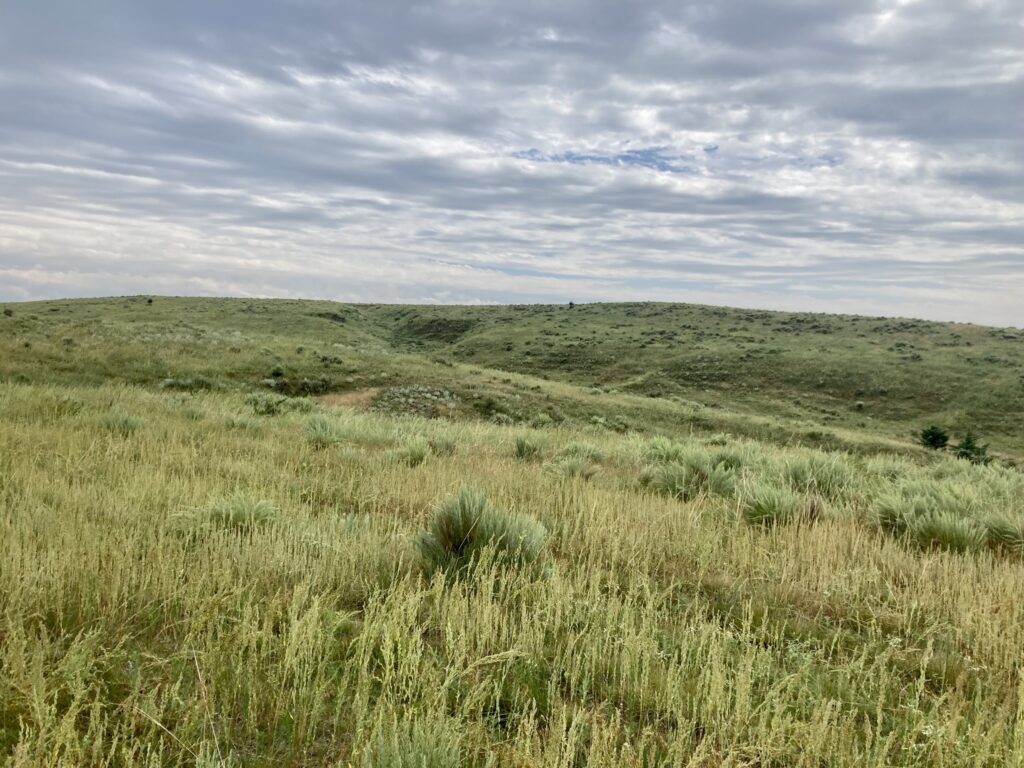 keith county pasture in nebraska offering rangeland near paxton listed by Agri Affiliates real estate agents DJ Lunkwitz and Jerry Weaver of North Platte