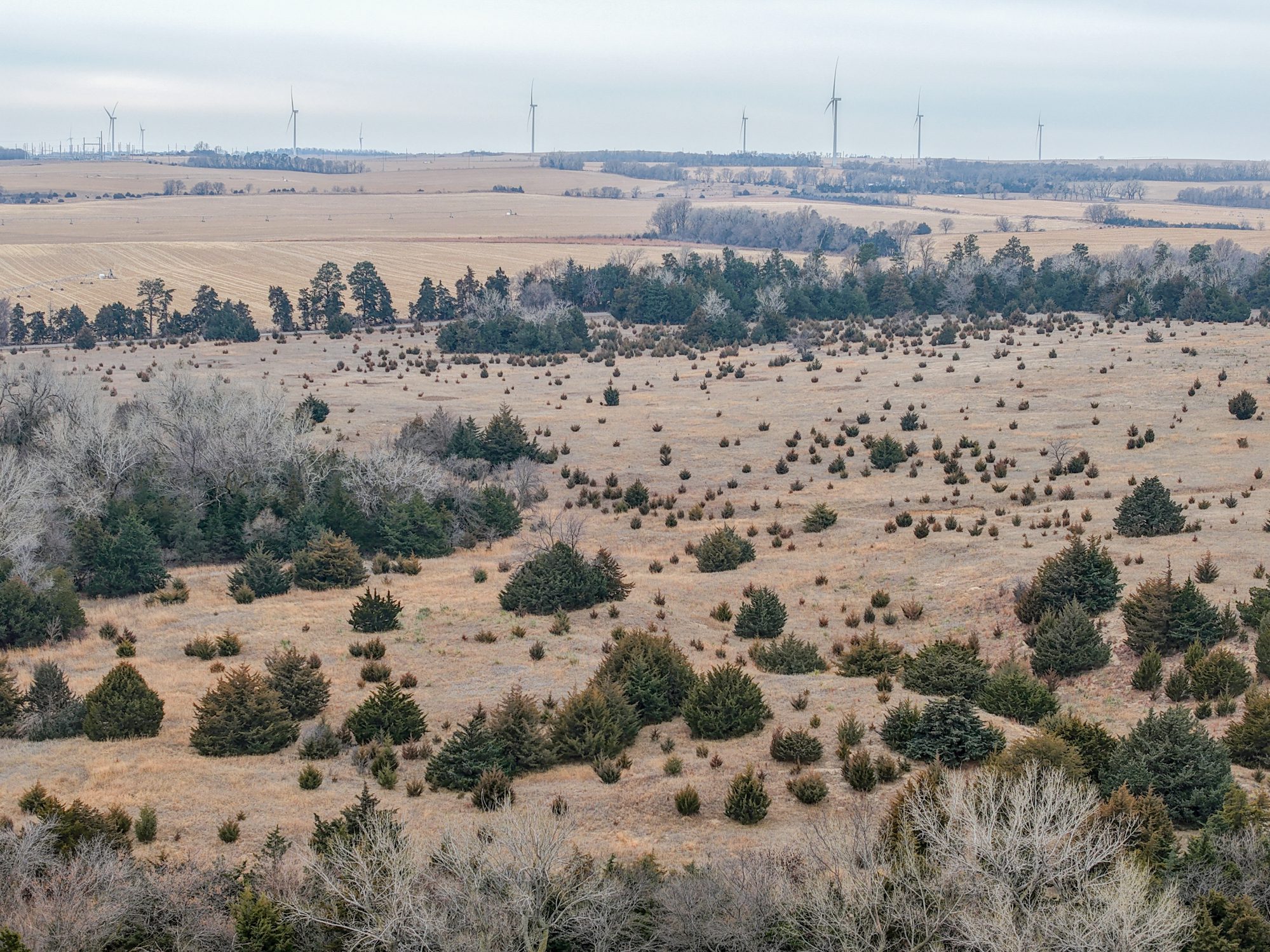 Antelope County Recreation ranch and pasture land hunting listed by agri affiliates real estate salesperson adam pavelka jd in hastings nebraska