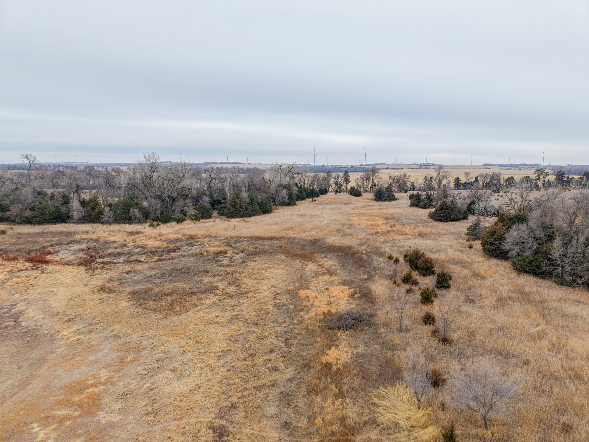 Antelope County Recreation ranch and pasture land hunting listed by agri affiliates real estate salesperson adam pavelka jd in hastings nebraska