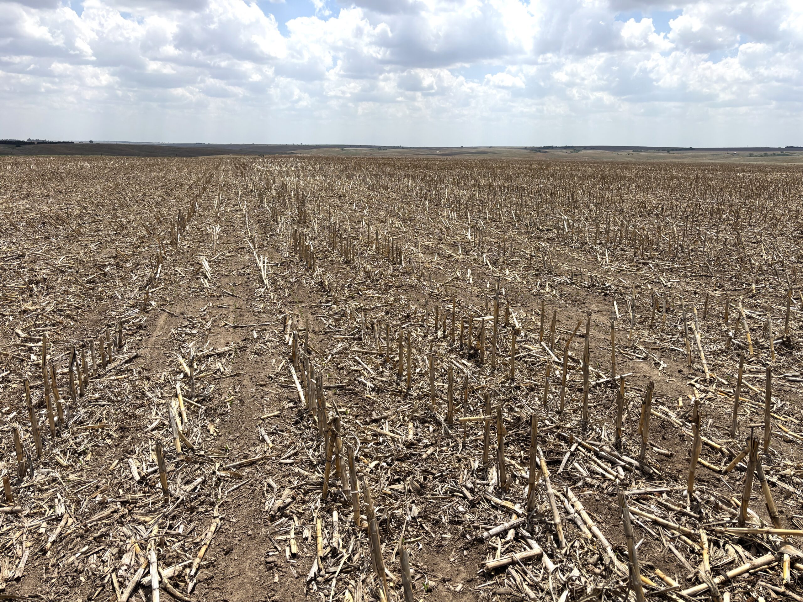 frontier county dry cropland with no-till crop production and good soils located near moorefield and farnam nebraska listed by Agri Affiliates agricultural real estate professional Bruce Dodson, AFM in north platte, ne