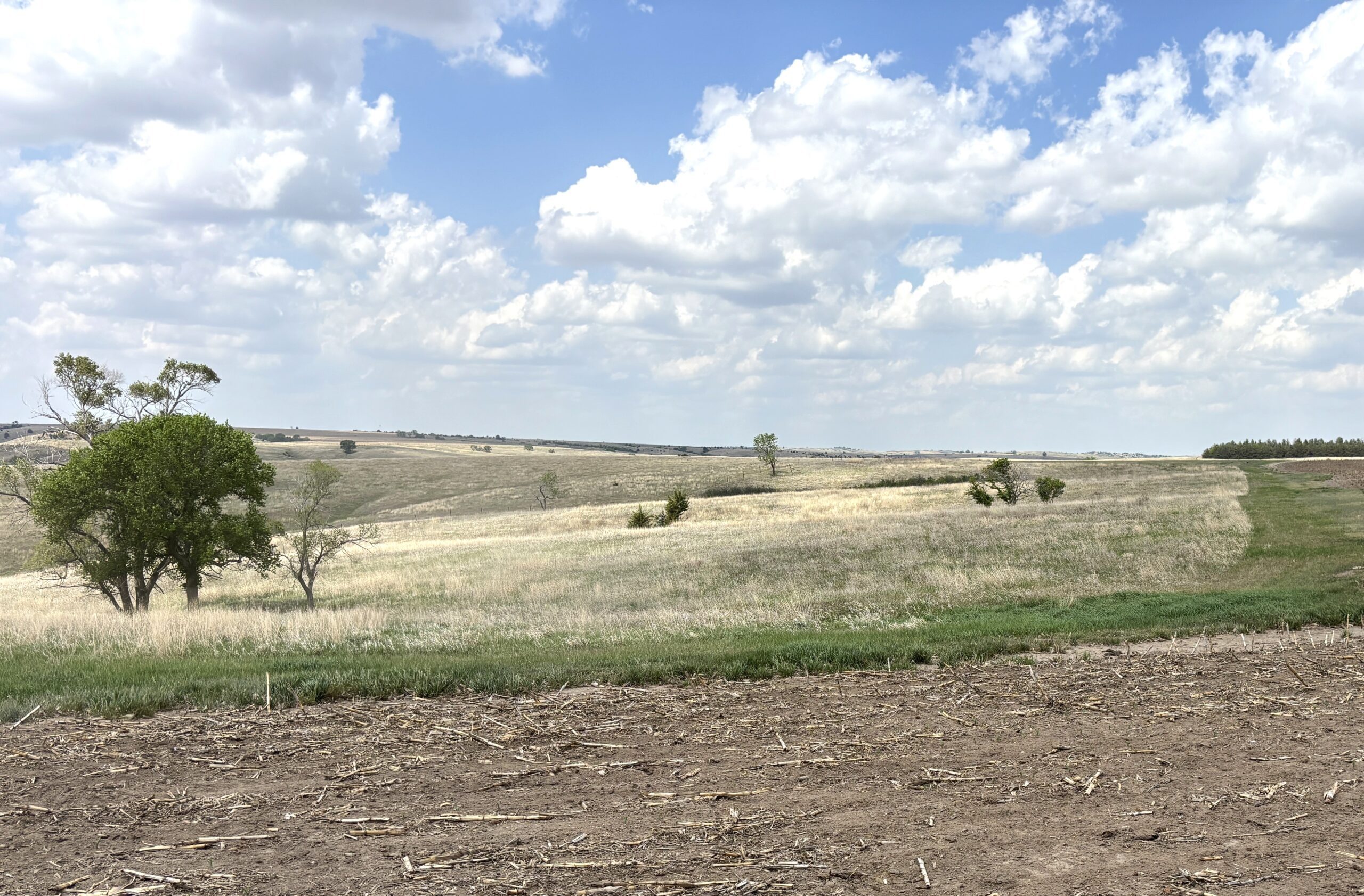 frontier county dry cropland with no-till crop production and good soils located near moorefield and farnam nebraska listed by Agri Affiliates agricultural real estate professional Bruce Dodson, AFM in north platte, ne