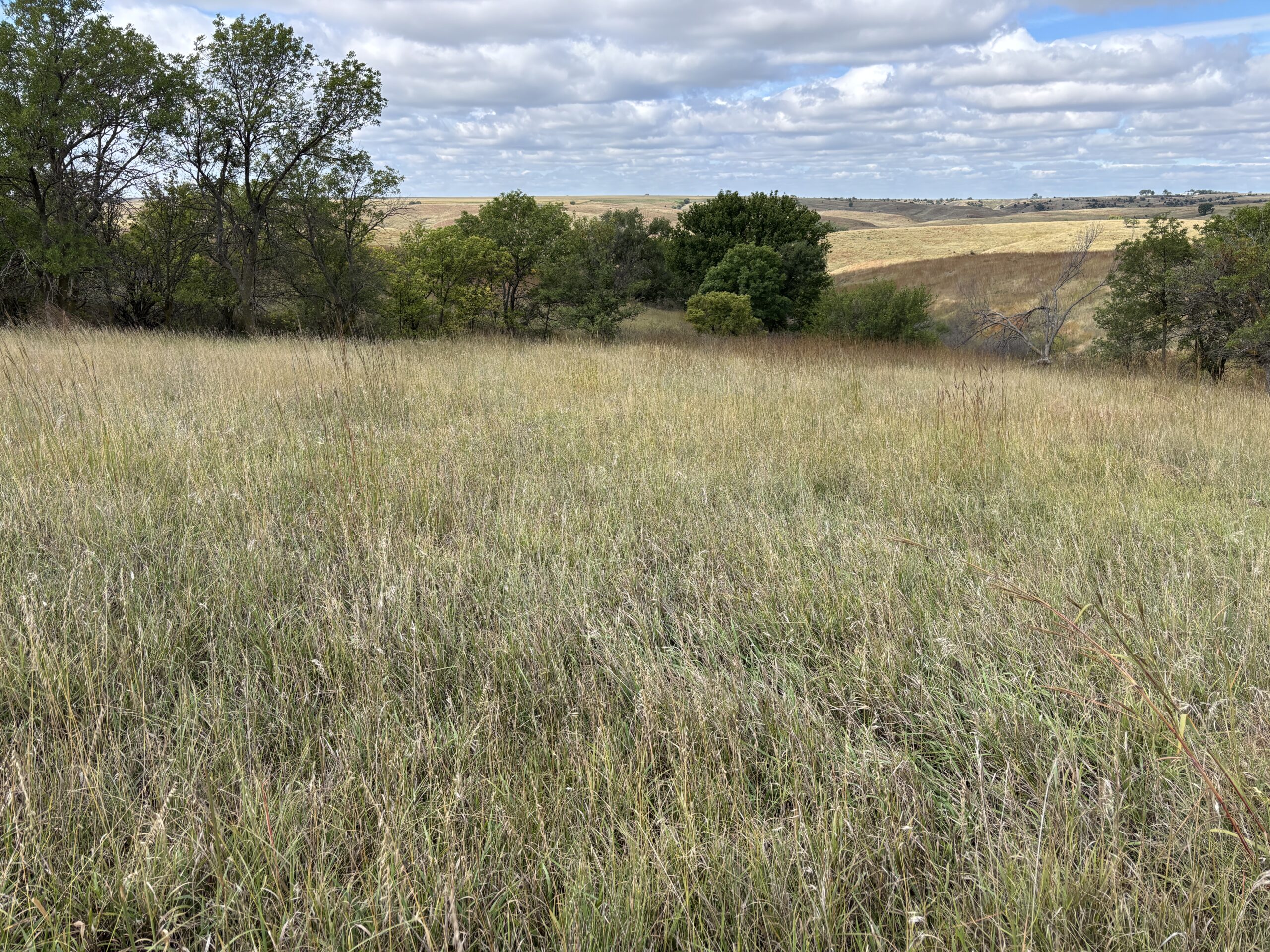 frontier county dry cropland with no-till crop production and good soils located near moorefield and farnam nebraska listed by Agri Affiliates agricultural real estate professional Bruce Dodson, AFM in north platte, ne