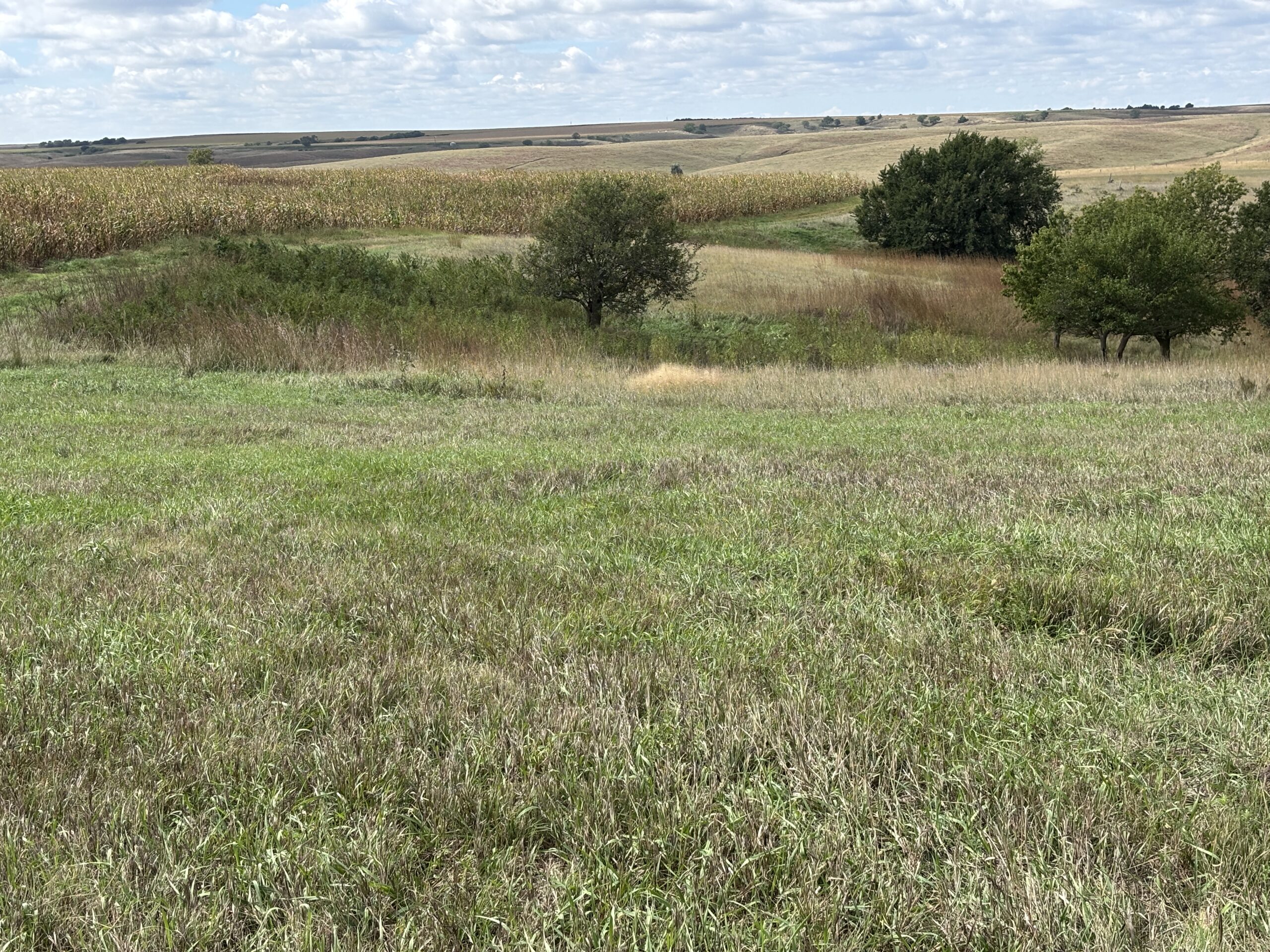 frontier county dry cropland with no-till crop production and good soils located near moorefield and farnam nebraska listed by Agri Affiliates agricultural real estate professional Bruce Dodson, AFM in north platte, ne