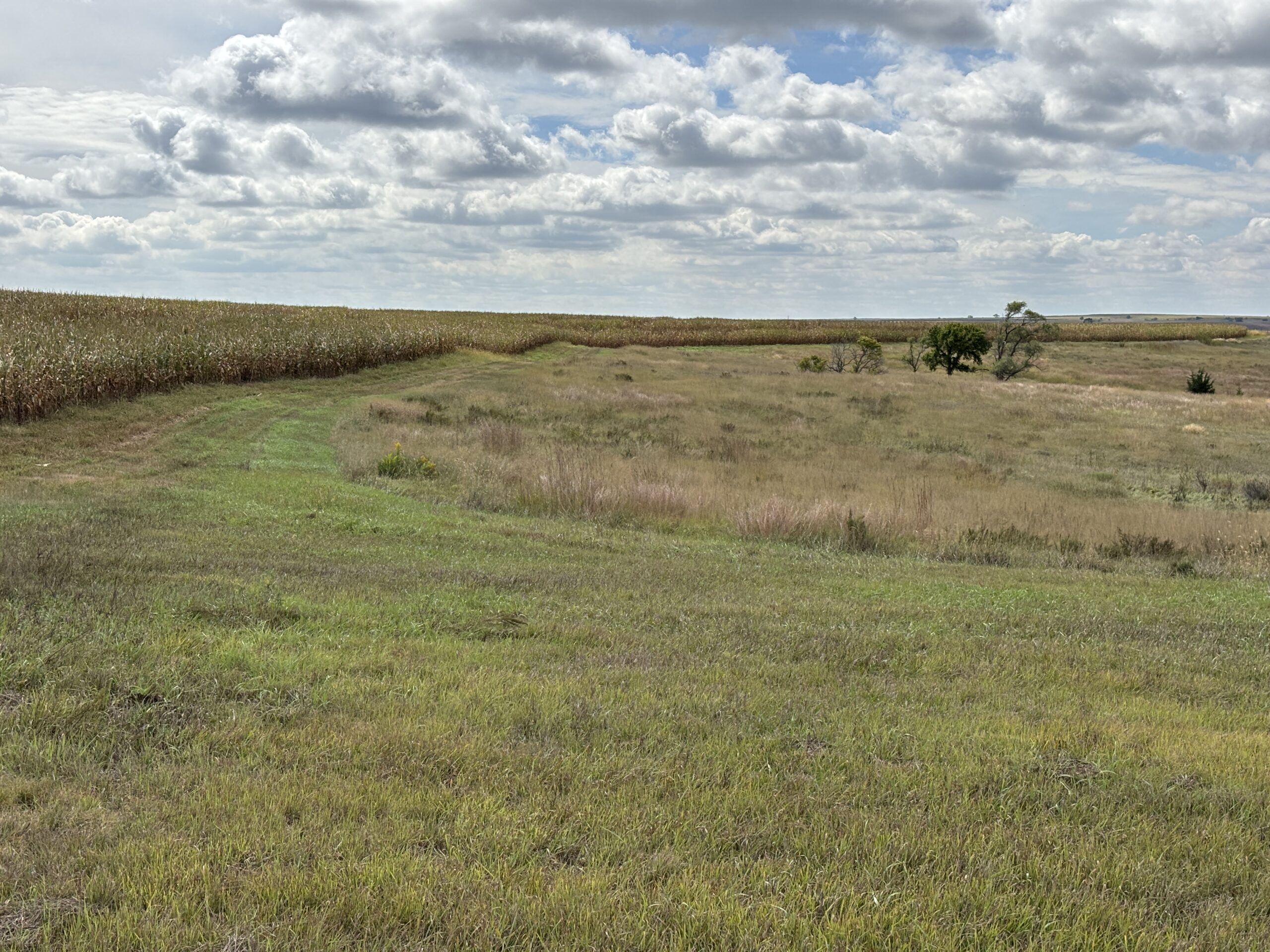 frontier county dry cropland with no-till crop production and good soils located near moorefield and farnam nebraska listed by Agri Affiliates agricultural real estate professional Bruce Dodson, AFM in north platte, ne
