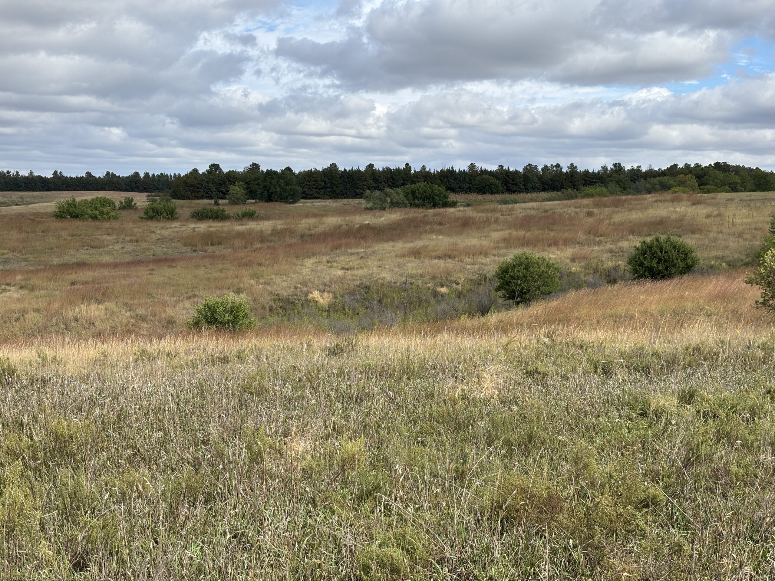 frontier county dry cropland with no-till crop production and good soils located near moorefield and farnam nebraska listed by Agri Affiliates agricultural real estate professional Bruce Dodson, AFM in north platte, ne