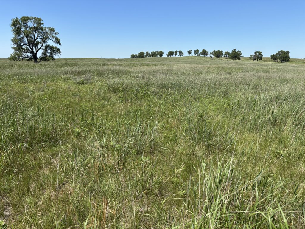 wheeler county rangeland near bartlett nebraska grassland rangeland agriculture land for sale with solar wells listed by Agri Affiliates real estate agent bruce dodson