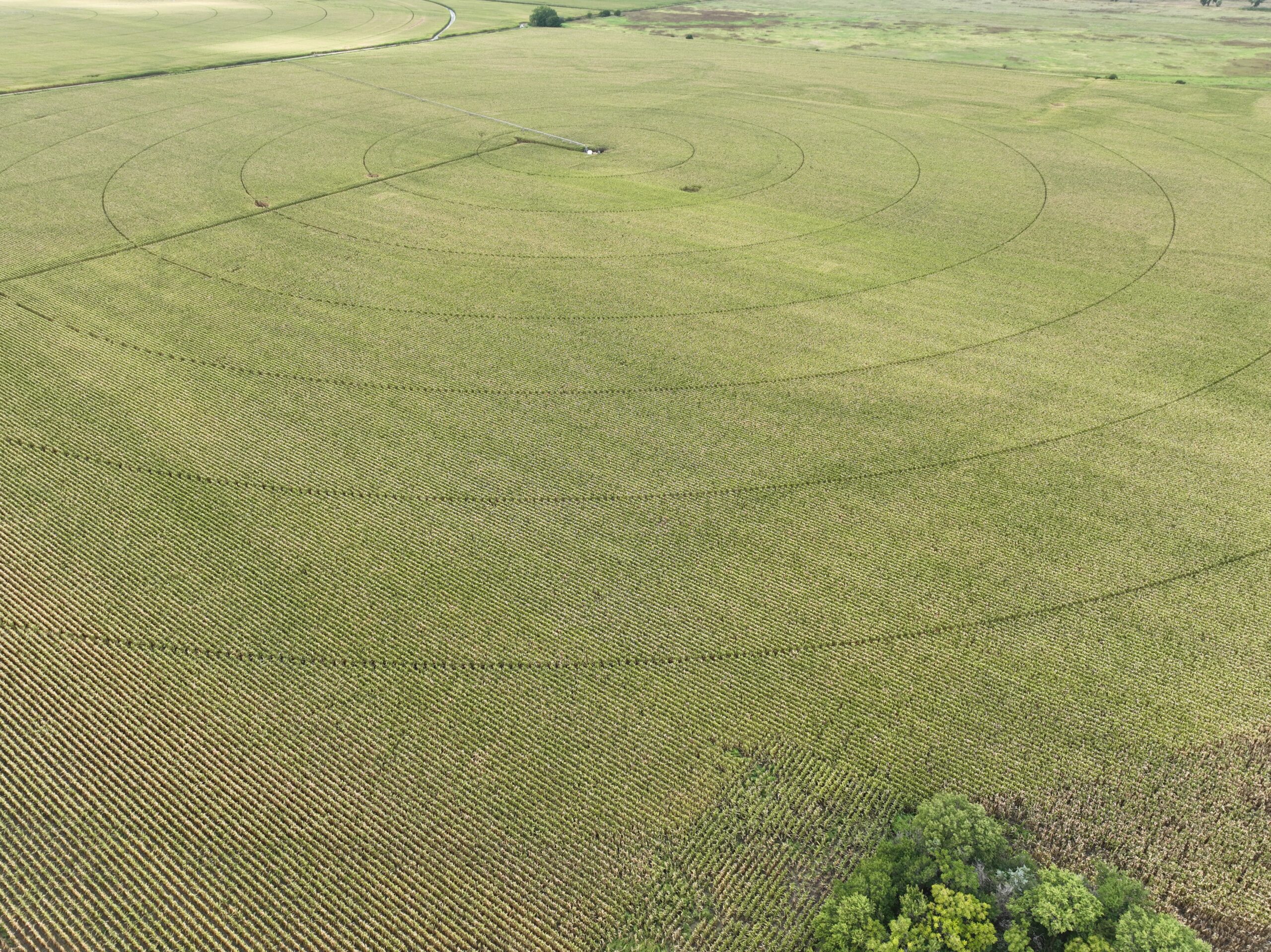 dobytown pivot and gravity irrigated cropland in kearney county nebraska productive irrigated cropland tri-basin nrd listed by agri affiliates real estate agent mike wilken ara kearney ne