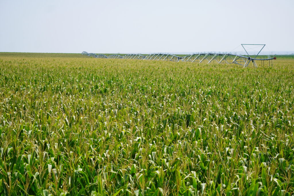 north bartley farms nixon agriultural cropland irrigated dry grass middle republican nrd red willow county land for sale listed by agri afffiliates real estate agents d.j. lunkwitz faith correll north platte