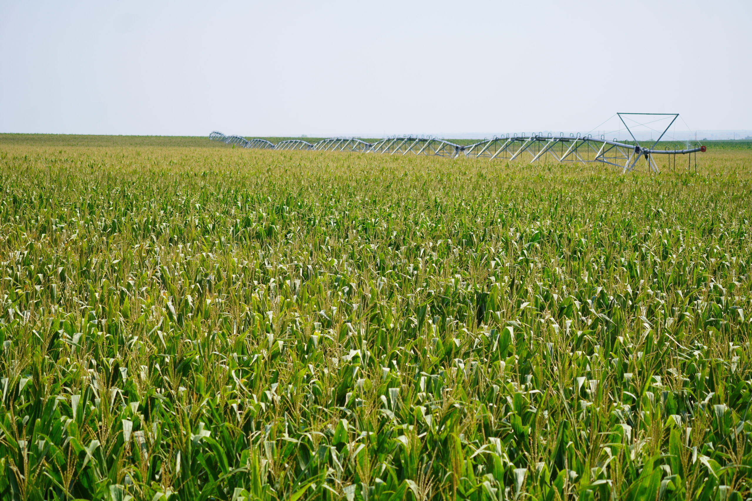 north bartley farms nixon agriultural cropland irrigated dry grass middle republican nrd red willow county land for sale listed by agri afffiliates real estate agents d.j. lunkwitz faith correll north platte