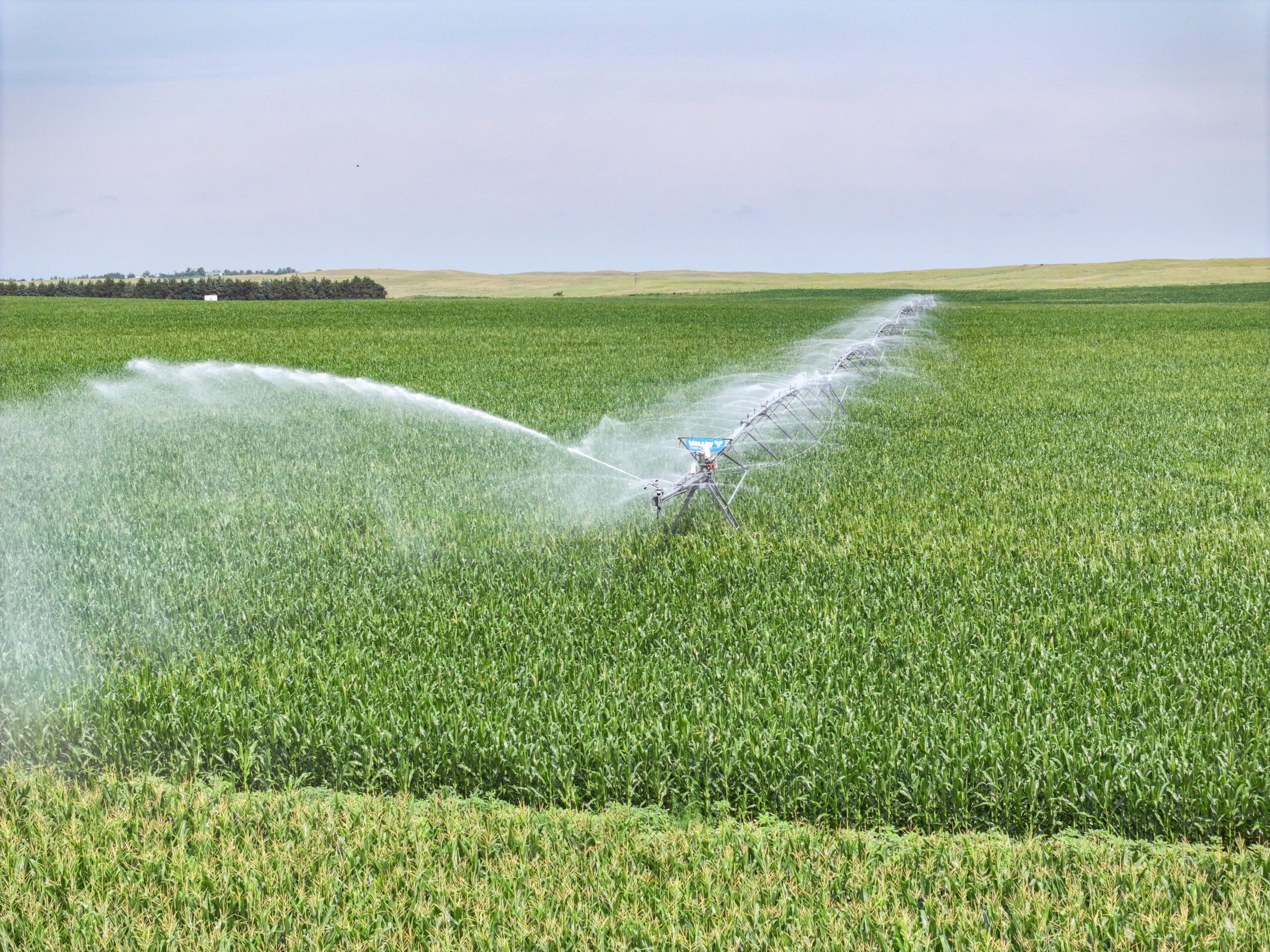 Blase Farm Land Agricultural Auction conducted by Agri Affiliates in North Platte pivot irrigated cropland in Lincoln County, Nebraska listed by real estate sales Chase Dodson and Bruce Dodson