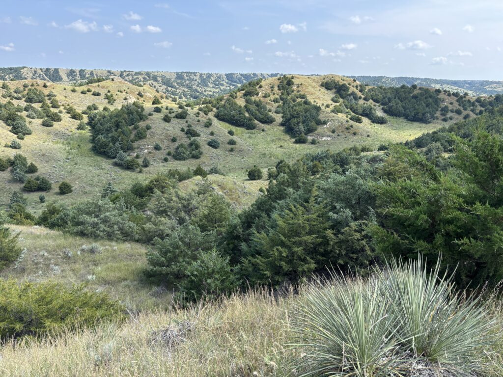 moran canyon combination gary miller land for sale canyon recreation hunting elk deer turkey cropland non-irrigated agriculture listed by agri affiliates real estate agent bruce dodson afm north platte nebraska