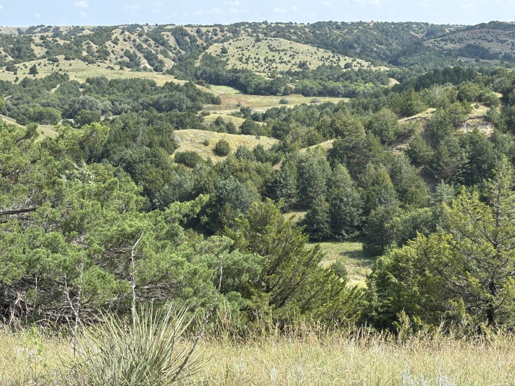 moran canyon combination gary miller land for sale canyon recreation hunting elk deer turkey cropland non-irrigated agriculture listed by agri affiliates real estate agent bruce dodson afm north platte nebraska