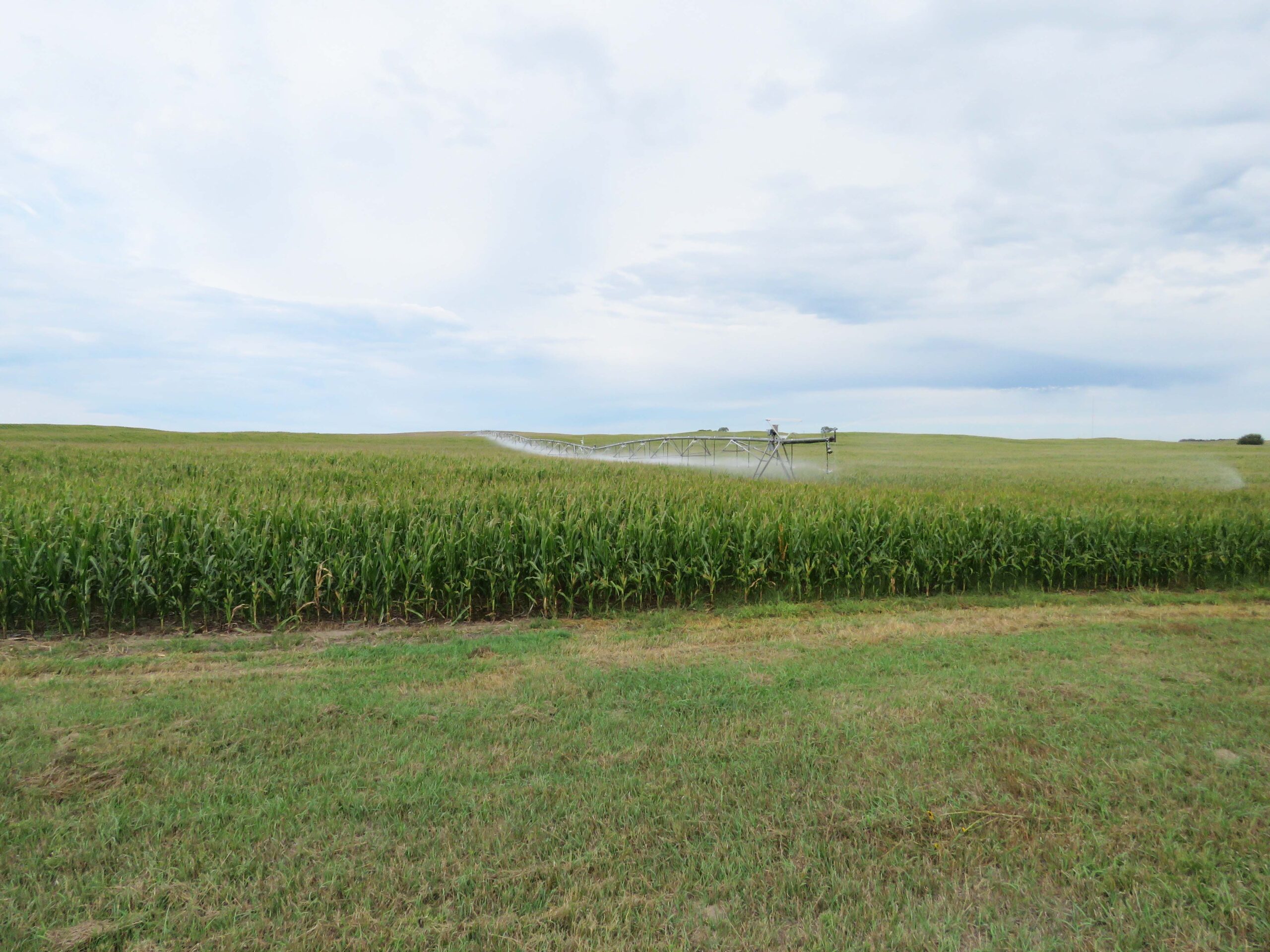 soils map lake maloney pivot in lincoln county nebraska certified irrigated acres agricultural investment real estate development listed by agri affiliates real estate agent faith correll north platte