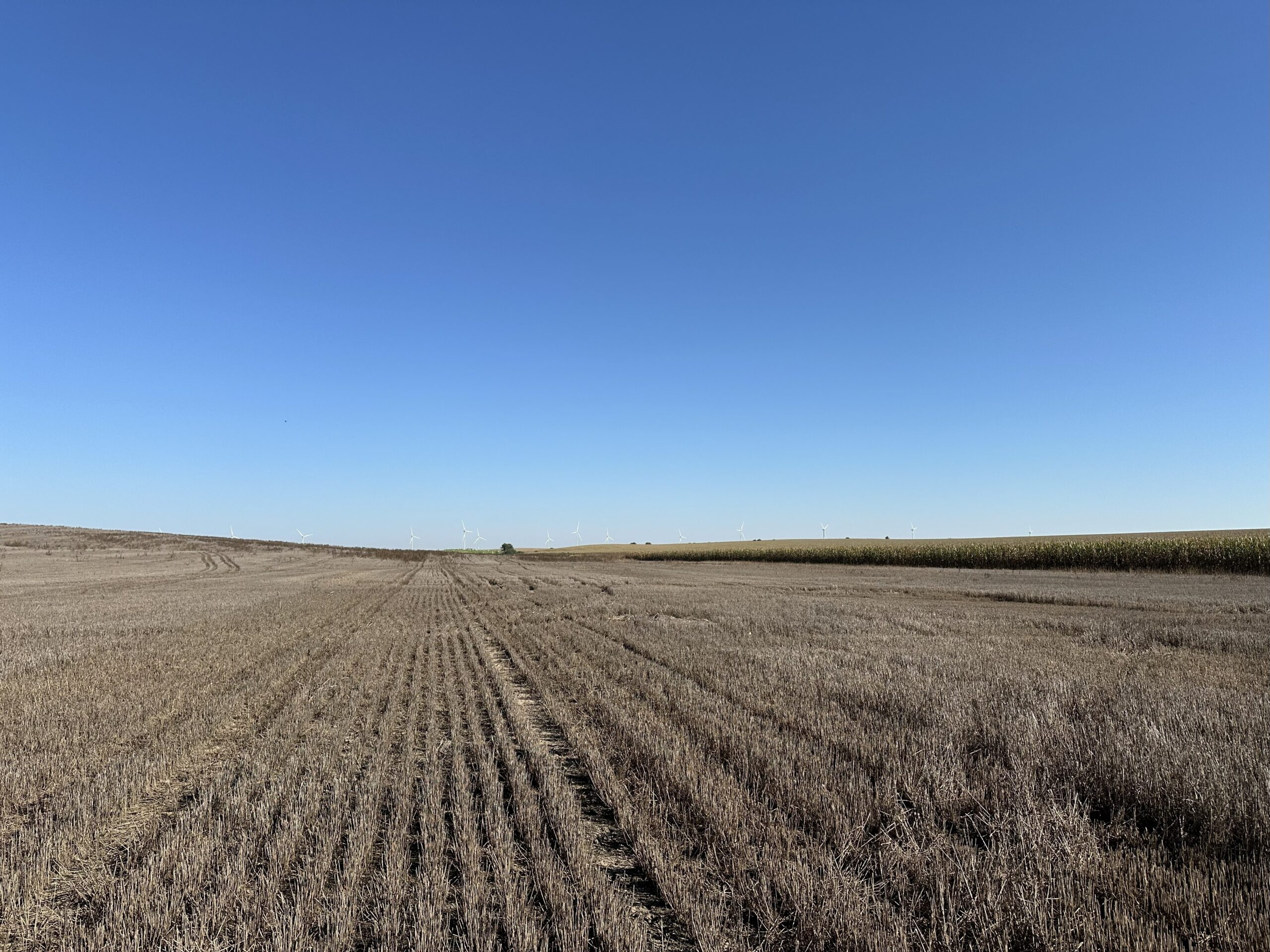 webster county corner farm dry cropland non-irrigated listed by agri affiliates real estate agent adam pavelka in hastings nebraska