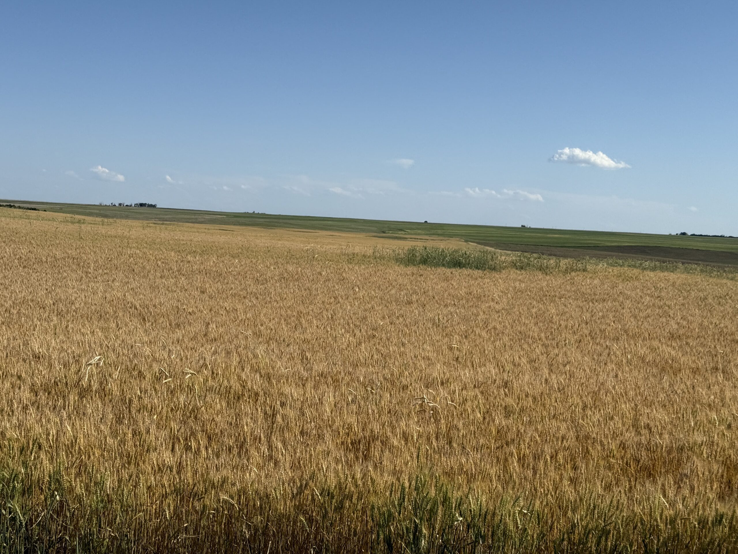 hydeagri farm dry cropland cheyenne county ne agriculture land for sale listed by agri affiliates real estate agent bonnie downing ara in broken bow nebraska