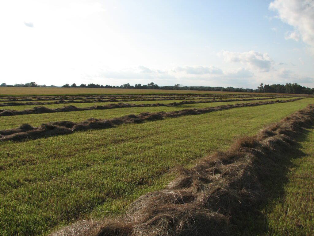mcfarland white horse creek rangeland hay grass meadow land for sale agriculture listed by agri affiliates real estate agent jerry weaver north platte lincoln county nebraska