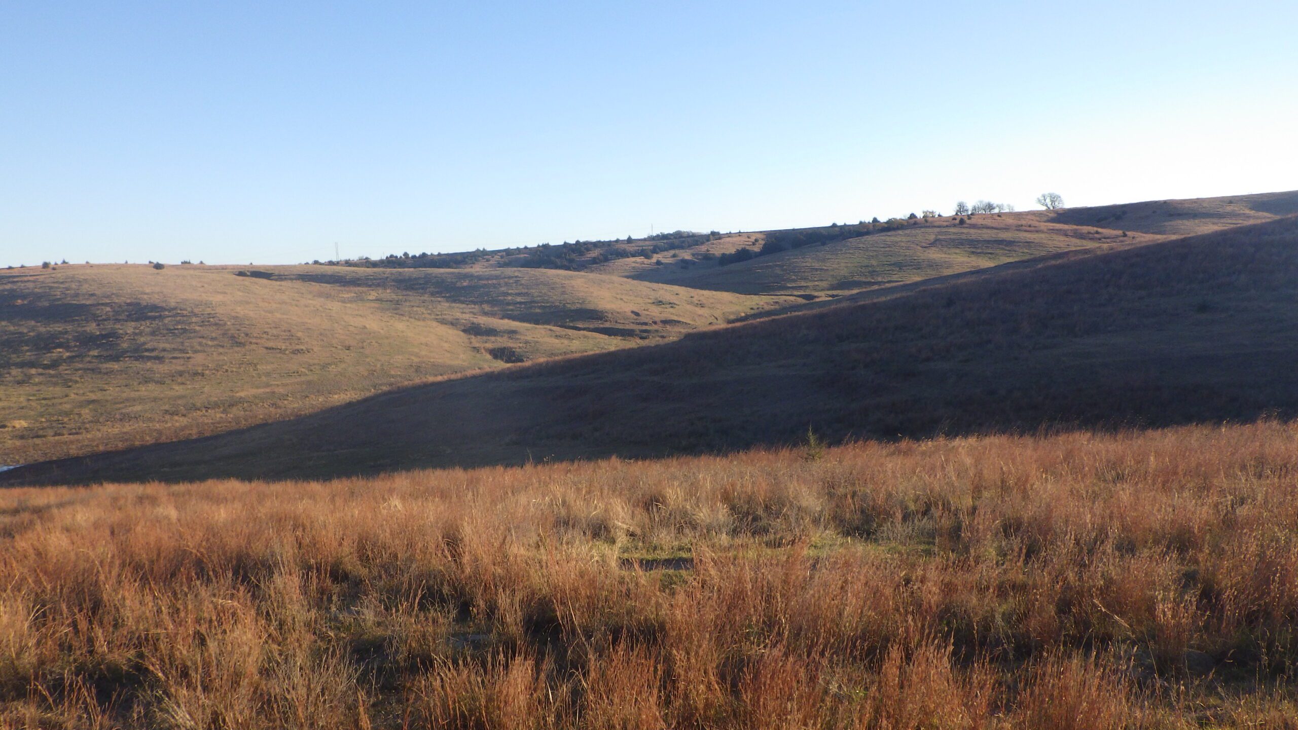 dierberger rangeland phelps county pasture ranch nebraska listed by agri affiliates kearney bart woodward appraiser real estate sales land management ne