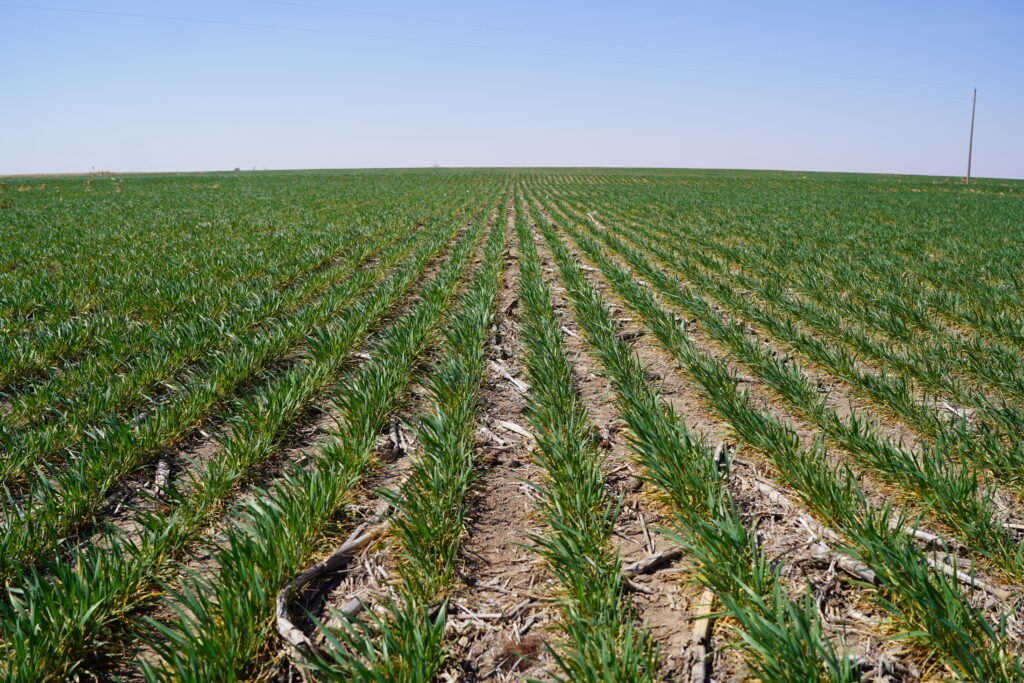 hwy 25a palisade dry cropland nebraska real estate land for sale listed by agri affiliates agent d.j. lunkwitz in north platte ne