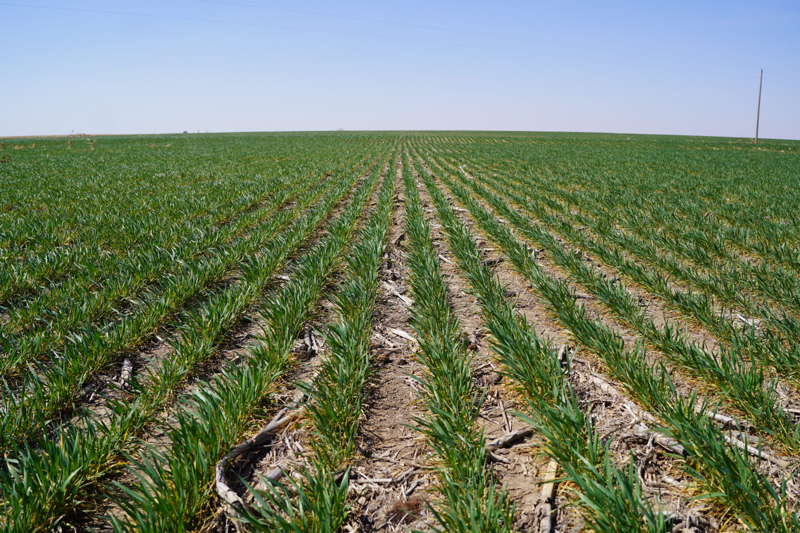 hwy 25a palisade dry cropland nebraska real estate land for sale listed by agri affiliates agent d.j. lunkwitz in north platte ne