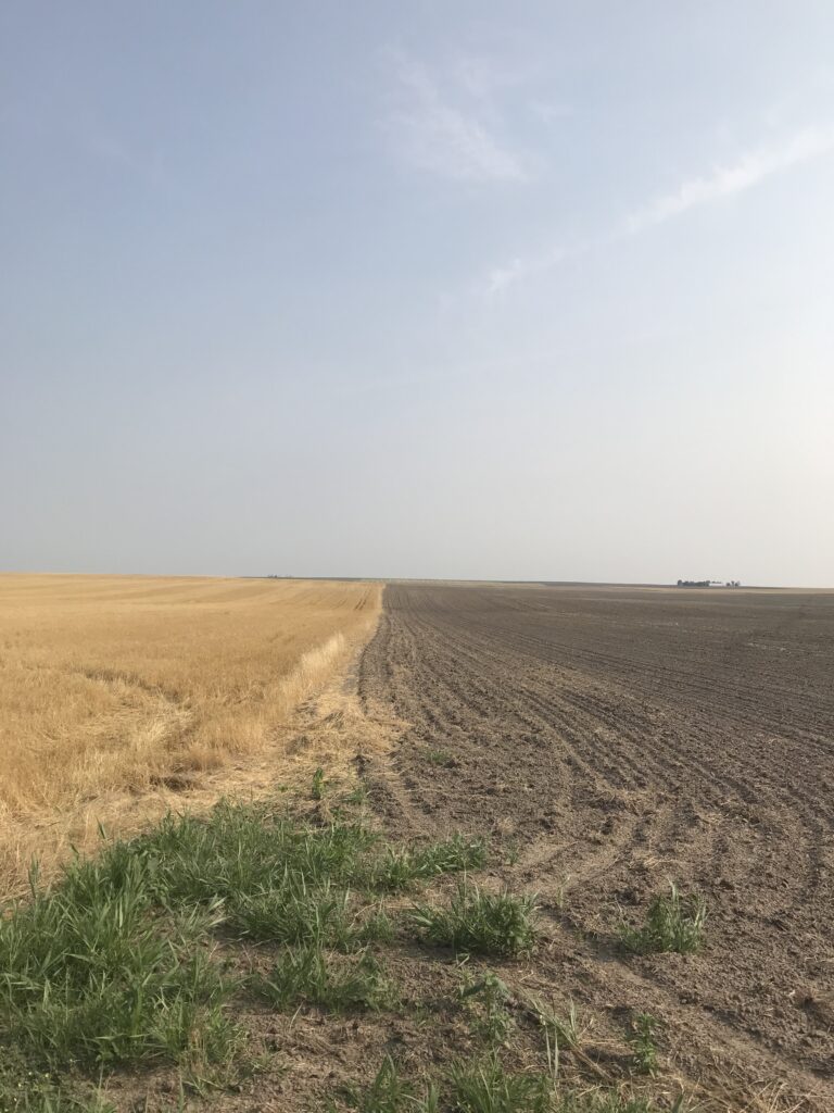 gaylord tobin property northwest cheyenne county quarter section of dry cropland for sale listed by jerry weaver agri affiliates north platte nebraska agriculture real estate