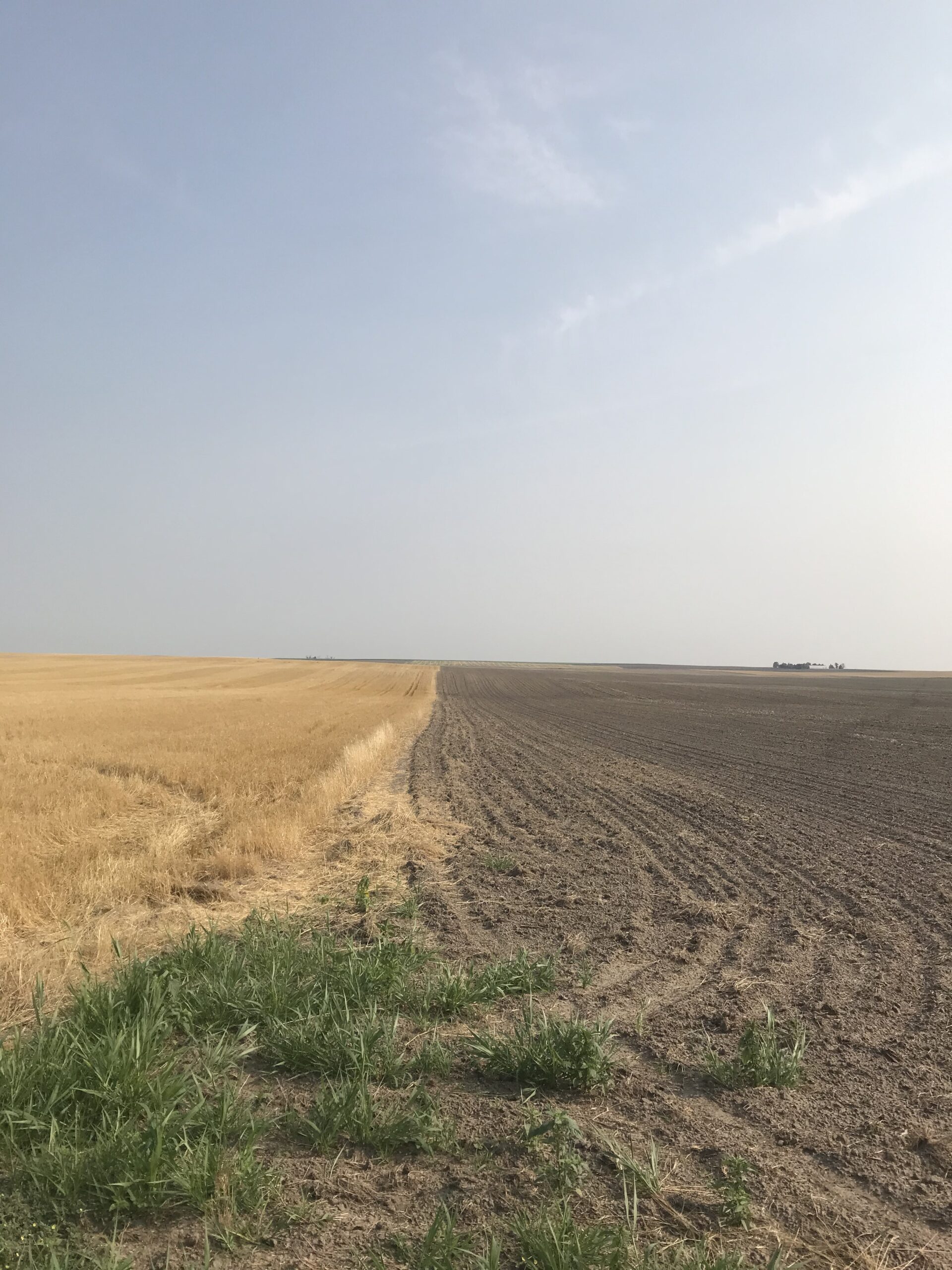gaylord tobin property northwest cheyenne county quarter section of dry cropland for sale listed by jerry weaver agri affiliates north platte nebraska agriculture real estate