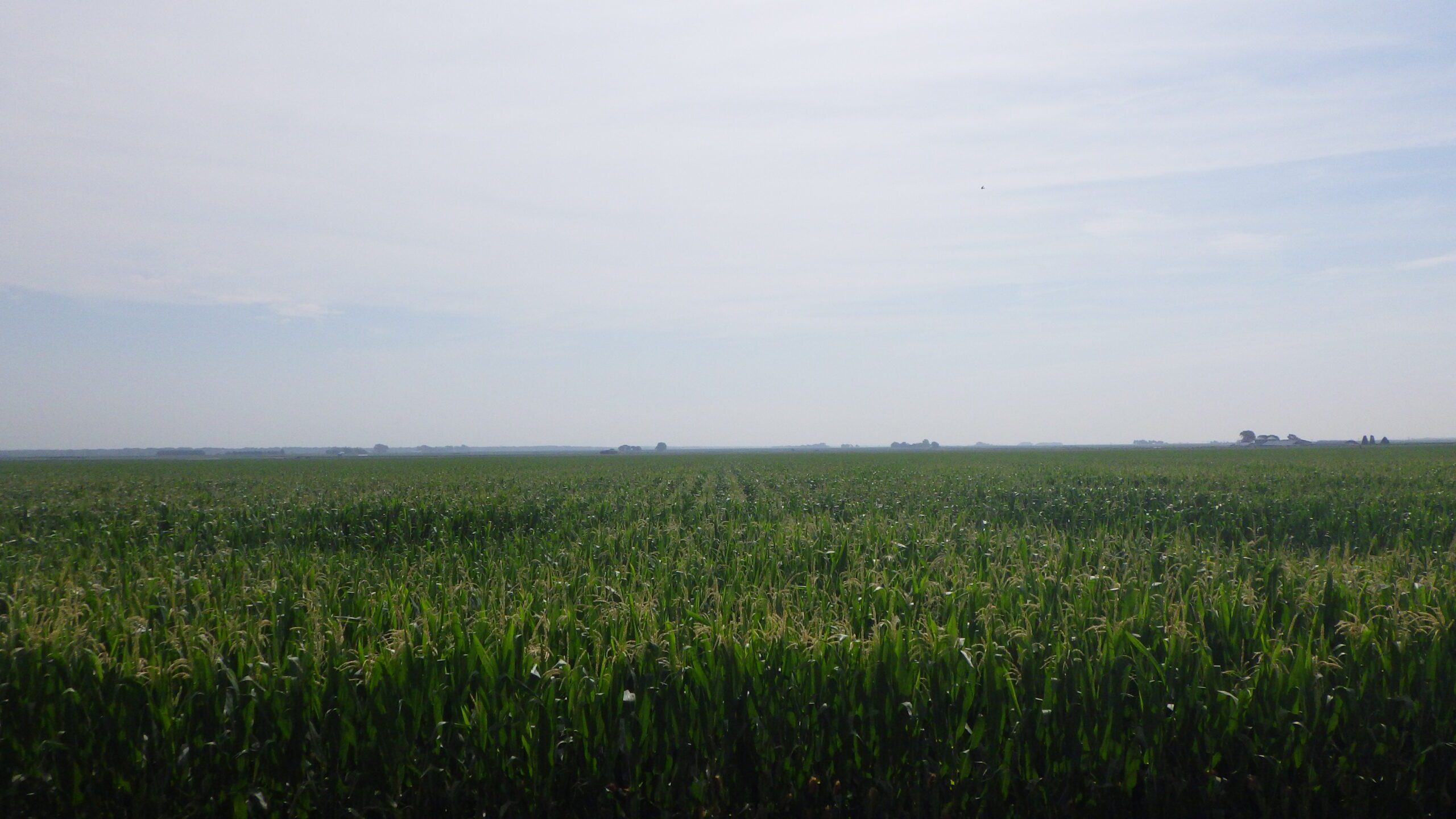 buterbaugh farms irrigated and dry cropland with gravity irrigated located in dawson county near gothenburg nebraska listed by agri affiliates real estate agent bart woodward in kearney ne