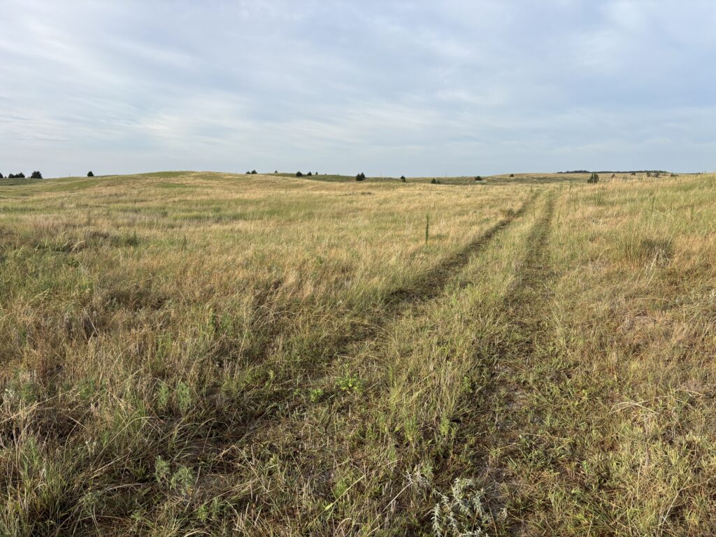 Acreage site within 13 minutes of North Platte in Lincoln County, Nebraska! Excellent for building your dream home with rural privacy and pasture land listed by Brude Dodson.