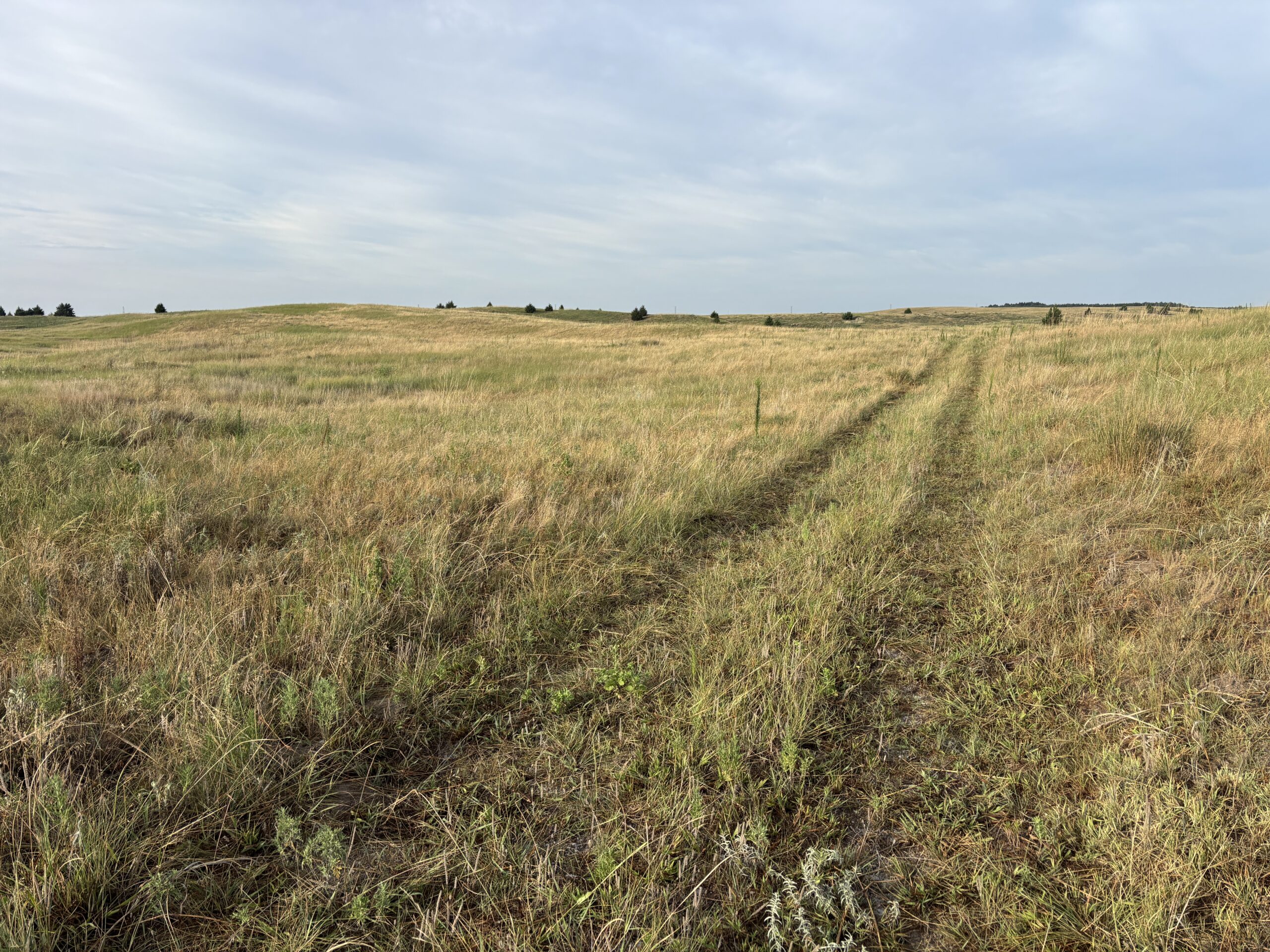 Acreage site within 13 minutes of North Platte in Lincoln County, Nebraska! Excellent for building your dream home with rural privacy and pasture land listed by Brude Dodson.